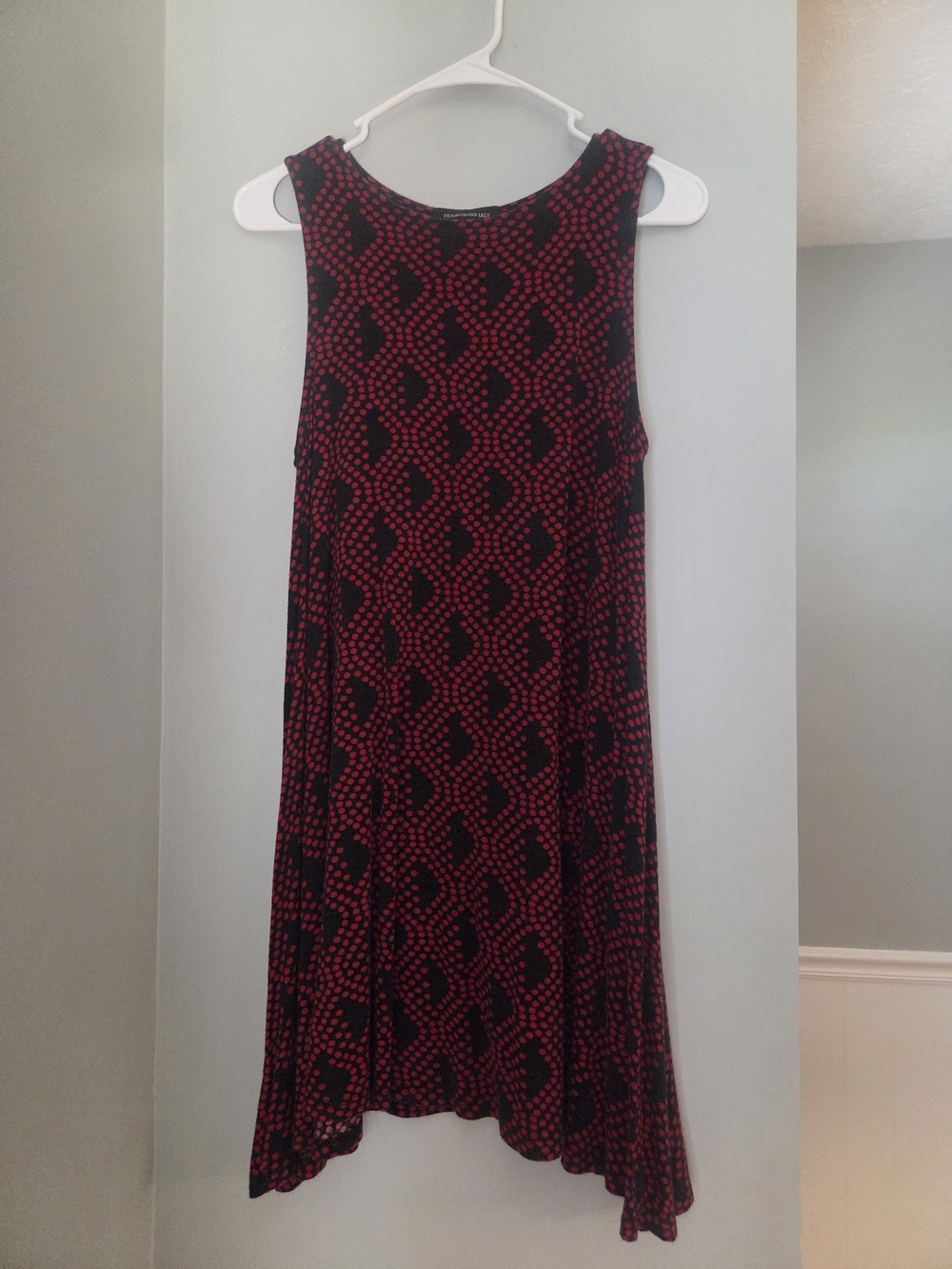 Hourglass Lilly Black & Red Sleeveless A-Line Dress